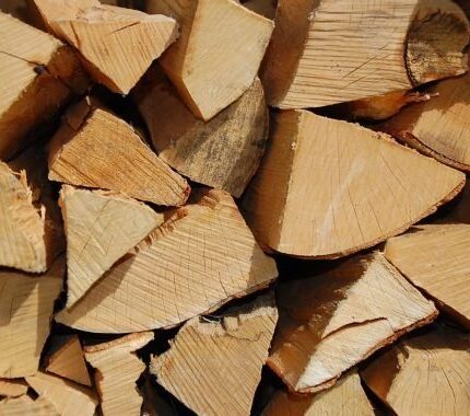 Kaminholz Buche trocken