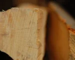Kaminholz Buche trocken