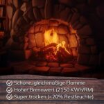 Kaminholz Buche trocken